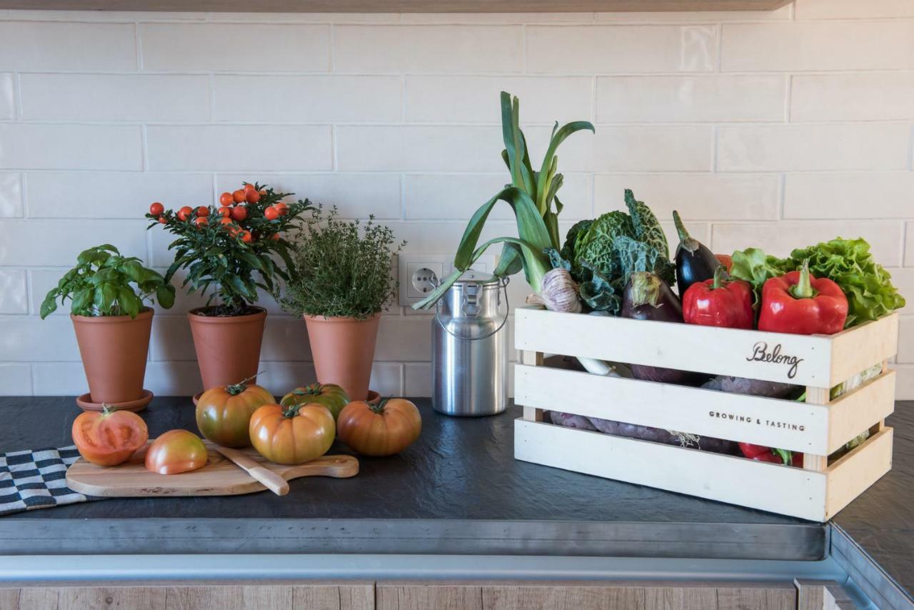 Craveiral Farmhouse By Belong Staying & Feeling São Teotónio Εξωτερικό φωτογραφία